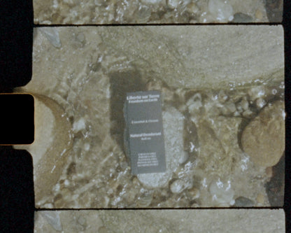 Coconut & Ocean Natural Deodorant